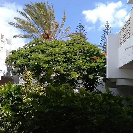 For 4 People, Costa Del Silencio, Chaparral, Near The Ocean, Wifi شقة طوستا ديل سيلونثيو